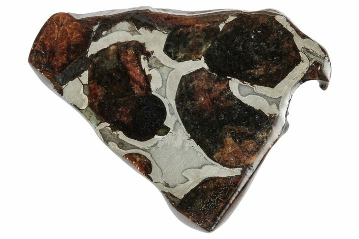 Sericho Pallasite Meteorite ( g) Slice - Kenya #346439